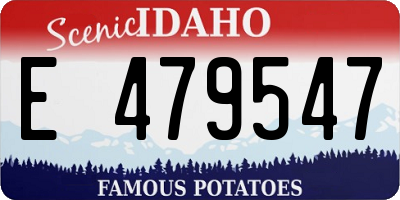 ID license plate E479547