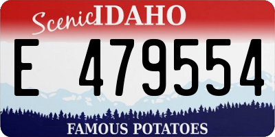 ID license plate E479554
