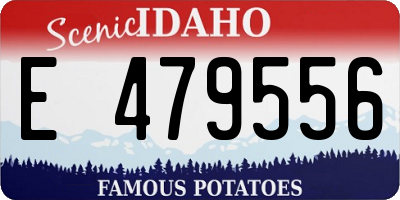 ID license plate E479556