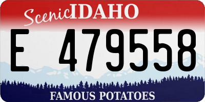 ID license plate E479558