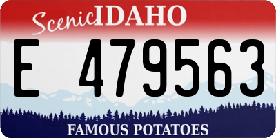 ID license plate E479563