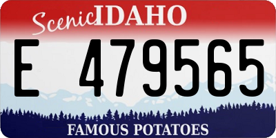 ID license plate E479565