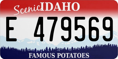 ID license plate E479569