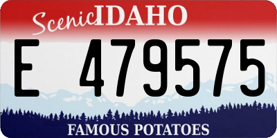 ID license plate E479575