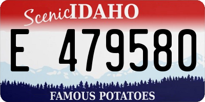 ID license plate E479580