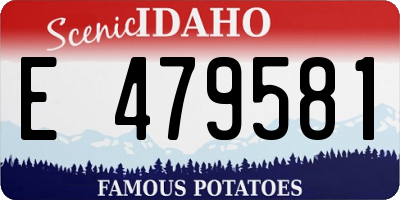 ID license plate E479581