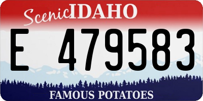 ID license plate E479583