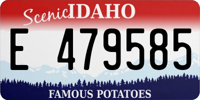 ID license plate E479585