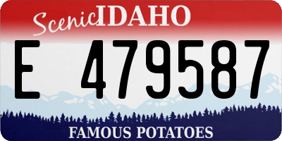 ID license plate E479587