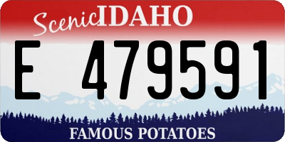 ID license plate E479591