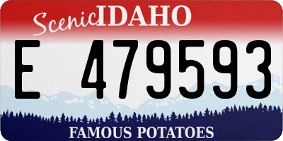 ID license plate E479593