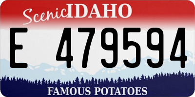 ID license plate E479594