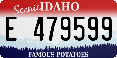 ID license plate E479599