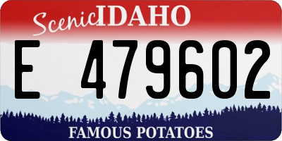 ID license plate E479602