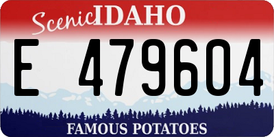 ID license plate E479604
