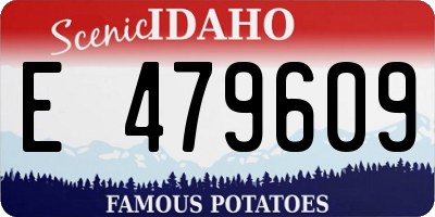 ID license plate E479609