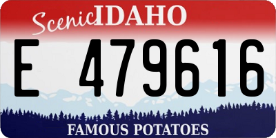 ID license plate E479616