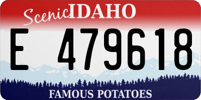 ID license plate E479618