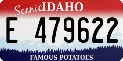 ID license plate E479622