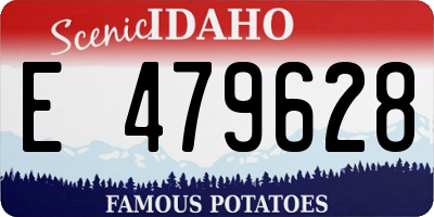 ID license plate E479628