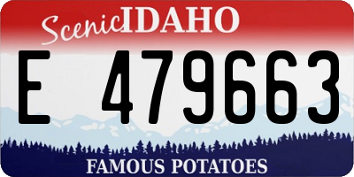ID license plate E479663