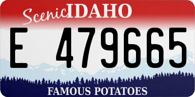 ID license plate E479665