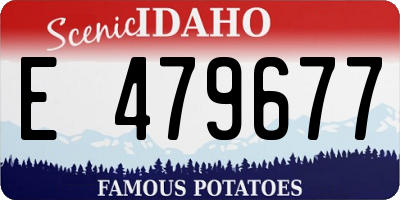 ID license plate E479677