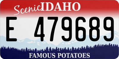 ID license plate E479689