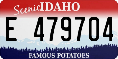 ID license plate E479704