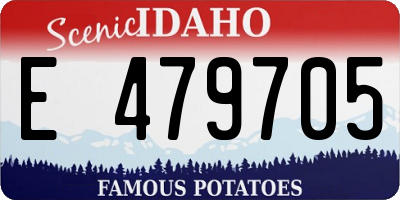 ID license plate E479705