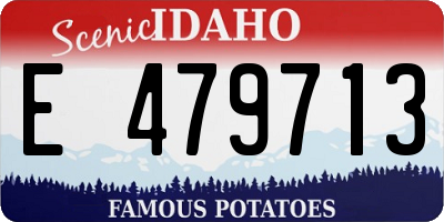 ID license plate E479713