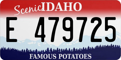 ID license plate E479725