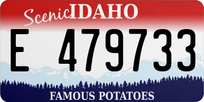 ID license plate E479733