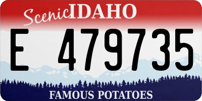 ID license plate E479735