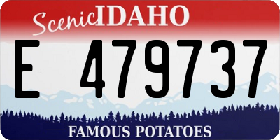 ID license plate E479737