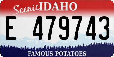 ID license plate E479743