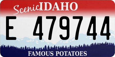 ID license plate E479744
