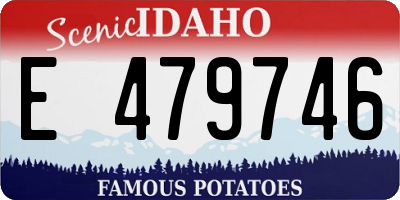 ID license plate E479746