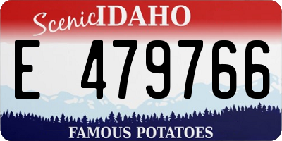 ID license plate E479766