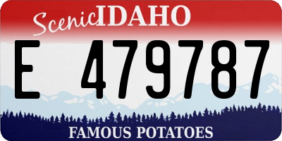 ID license plate E479787