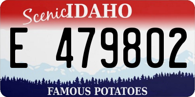 ID license plate E479802