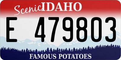 ID license plate E479803