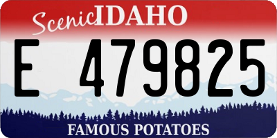 ID license plate E479825