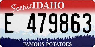 ID license plate E479863