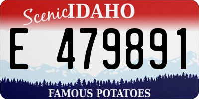 ID license plate E479891