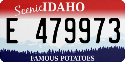 ID license plate E479973