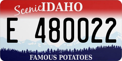 ID license plate E480022
