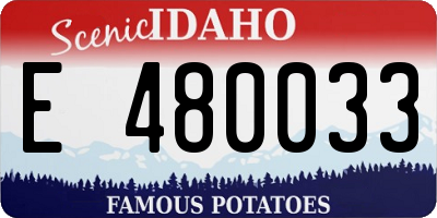 ID license plate E480033