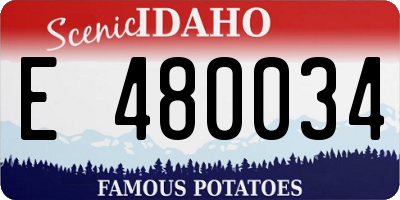 ID license plate E480034