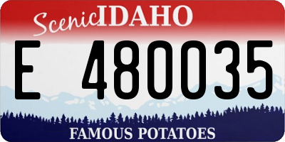 ID license plate E480035